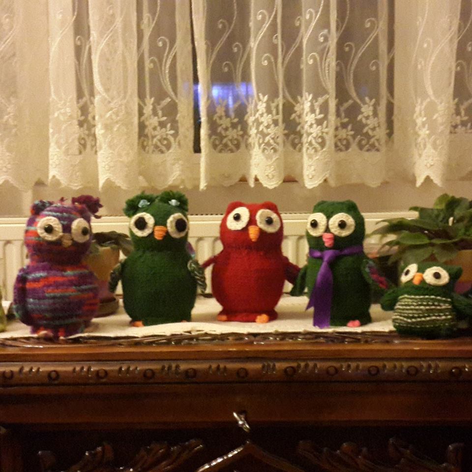 11180157_10152995983528075_1817500594_n