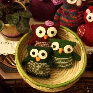 11267303_10153018162423075_1136930010_n