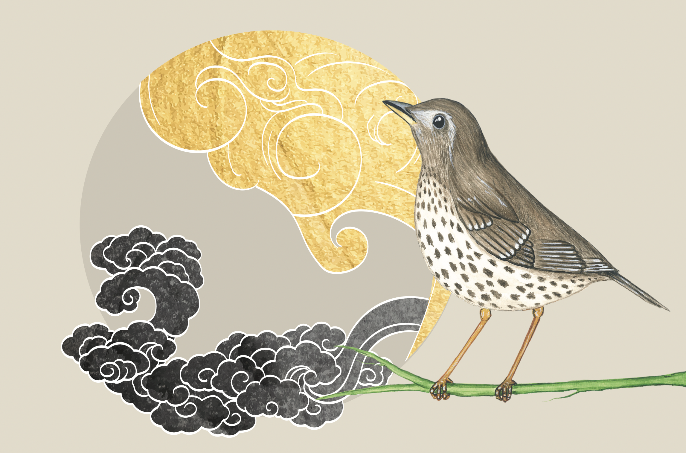 ekran-resmi-2023-12-31-16.42.32