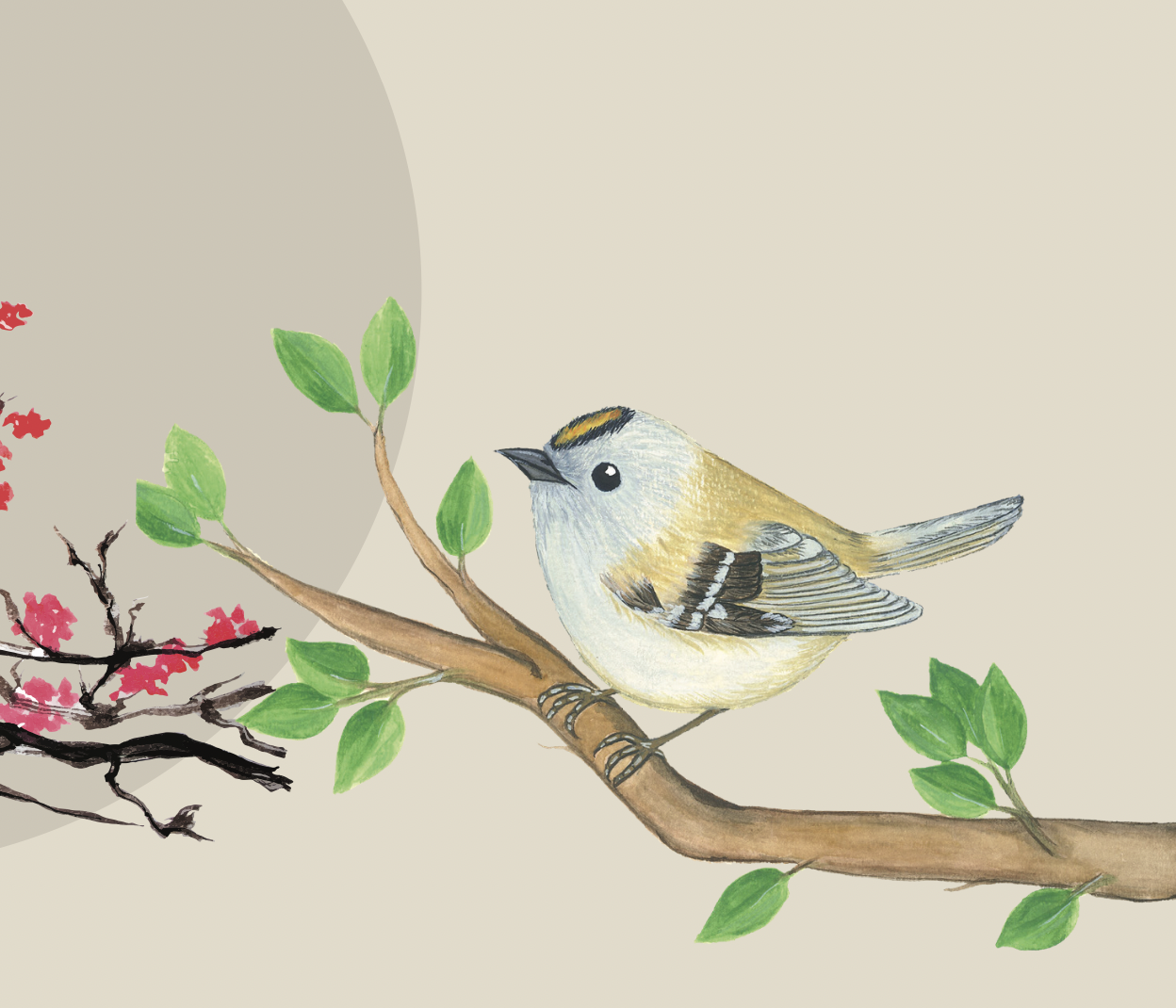 Ekran Resmi 2024-09-26 01.05.41